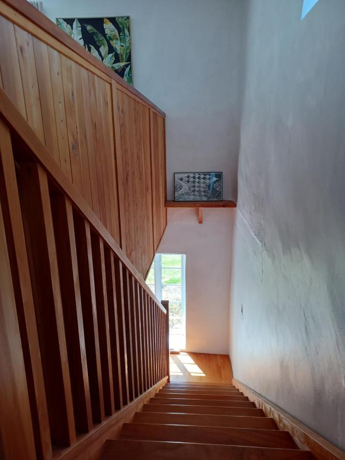 Pirita Vineyard Cottage. Upper Moutere Экстерьер фото