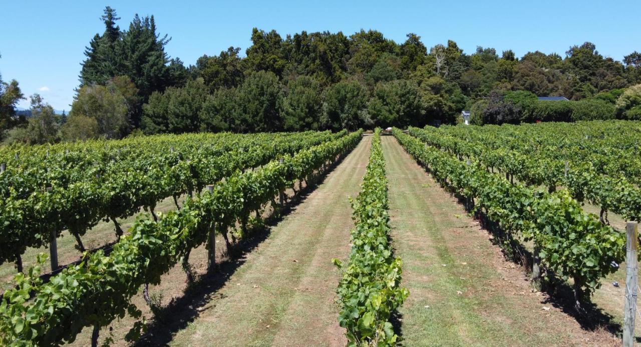 Pirita Vineyard Cottage. Upper Moutere Экстерьер фото